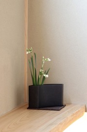 3D8DFC39-90E3-40C1-BD28-6669AFA37828.jpeg