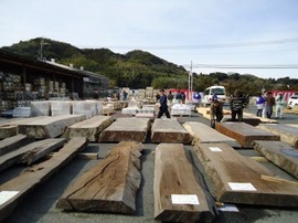 DSC00171-s.jpg