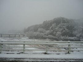 DSC00230-s.jpg