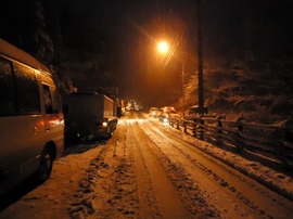 DSC00259-s.jpg