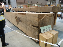 DSC00618-s.jpg