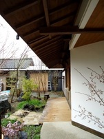 DSC00864-s.jpg
