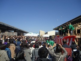 DSC01002-s.jpg