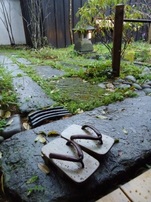 DSC01027-s.jpg
