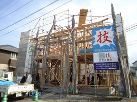 DSC01354-s.jpg