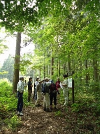 DSC01938-s.jpg