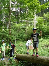 DSC01943-s.jpg