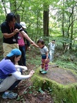 DSC01946-s.jpg