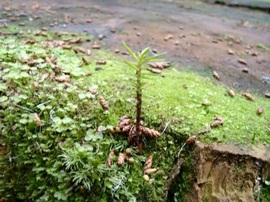 DSC01948-s.jpg