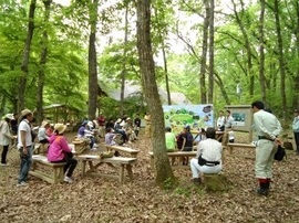 DSC01952-s.jpg