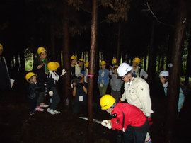DSC02560-s.jpg