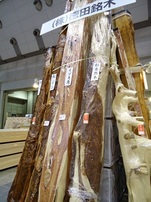 DSC02677-s.jpg