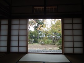 DSC03351-s.jpg