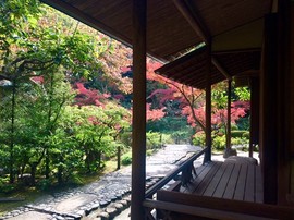 DSC03711-s.jpg