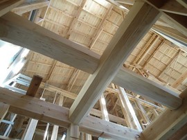 DSC03773-s.jpg