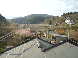 DSC04343-s.jpg
