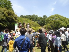 DSC04693-s.jpg