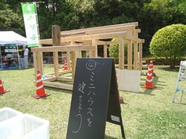 DSC04718-s.jpg
