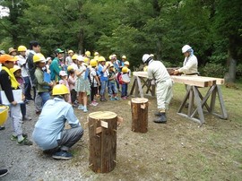 DSC05141-s.jpg
