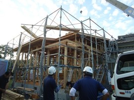 DSC05482-s.jpg