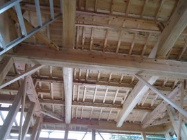 DSC05498-s.jpg