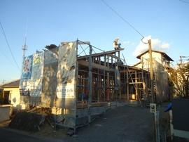DSC05702-s.jpg