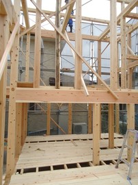 DSC06477-s.jpg