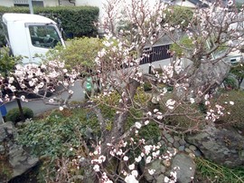 DSC06489-s.jpg
