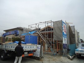 DSC06495-s.jpg