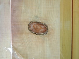 DSC06872-s.jpg