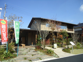 DSC07083-s.jpg