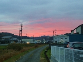 DSC07123-s.jpg