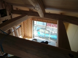 DSC07254-s.jpg