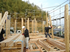 DSC07676-s.jpg