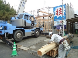 DSC07682-s.jpg