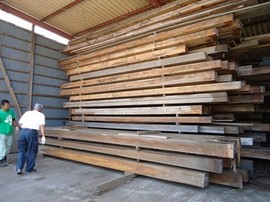 DSC08605-s.jpg