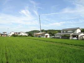 DSC09011-s.jpg