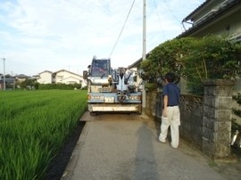 DSC09065-s.jpg