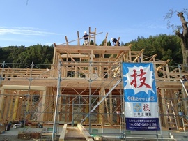 DSC09655-s.jpg