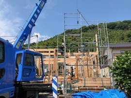 IMG_0312.jpg