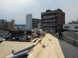 IMG_0913-s.jpg