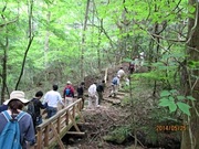 IMG_1045-s.jpg