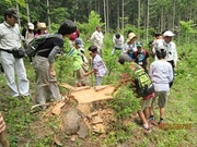 IMG_1094-s.jpg