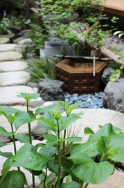 IMG_2012-s.jpg