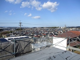 IMG_2650-s.jpg