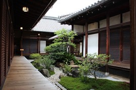 IMG_7386-s.jpg