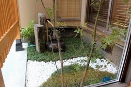 IMG_7838-s.jpg
