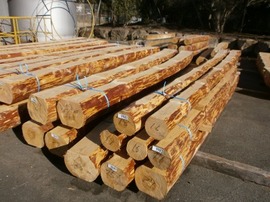 P1100013-s.jpg
