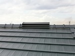 P6210017-s.jpg