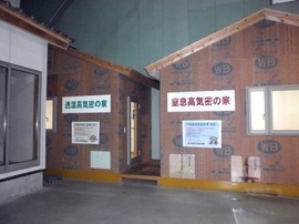 P9070050-s.jpg